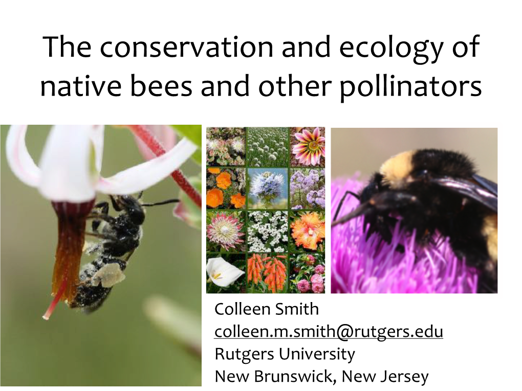 The Conservation and Ecology of Native Bees and Other Pollinators