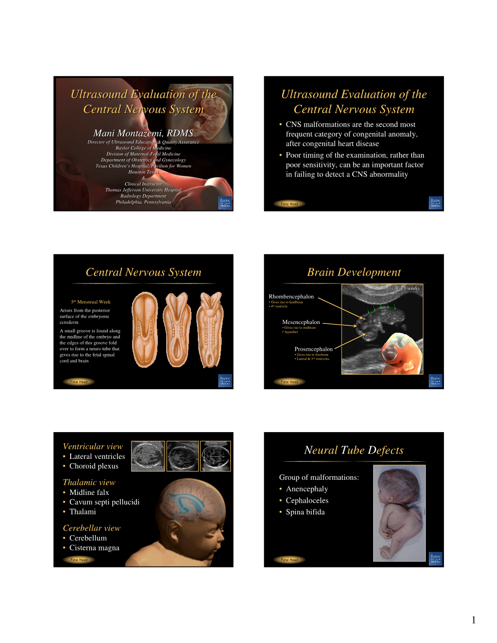 Ultrasound Evaluation of the Central Nervous System