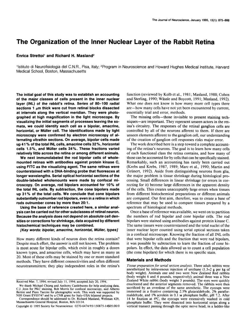 The Organization of the Inner Nuclear Layer of the Rabbit Retina