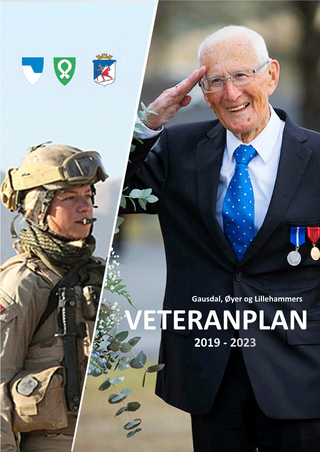 Gausdal, Øyer Og Lillehammers Veteranplan 2019-2023
