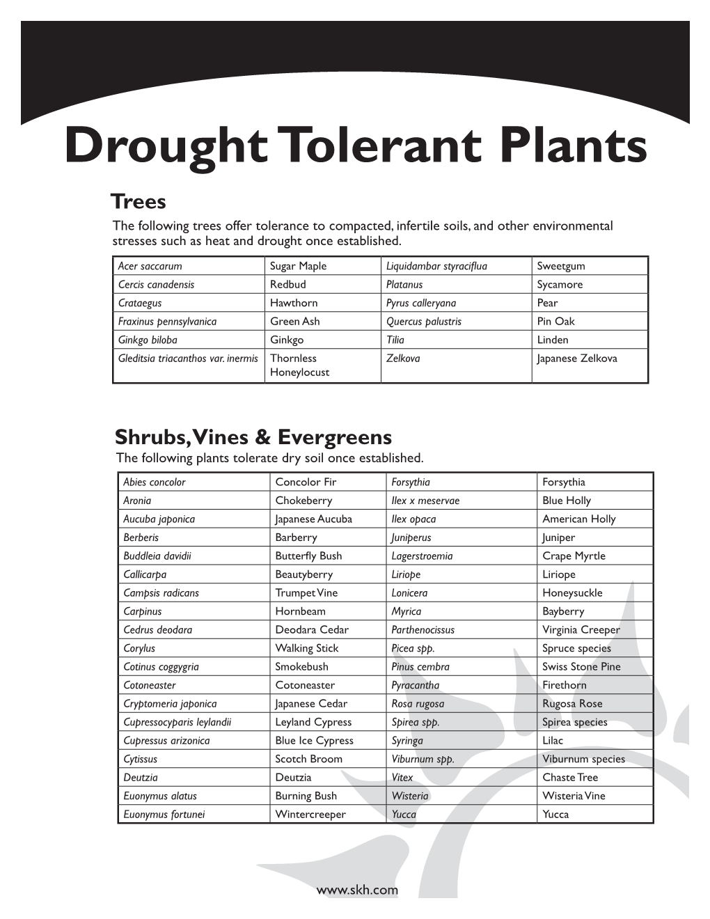 Drought Tolerant Plants