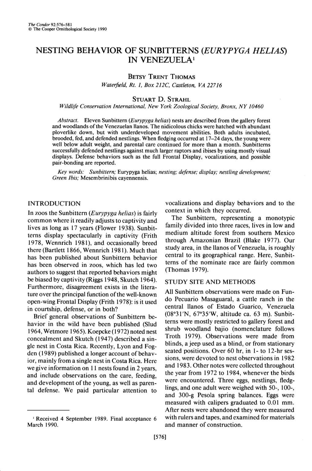 Nesting Behavior of Sunbitterns (Eurypyga Helias) in Venezuela ’