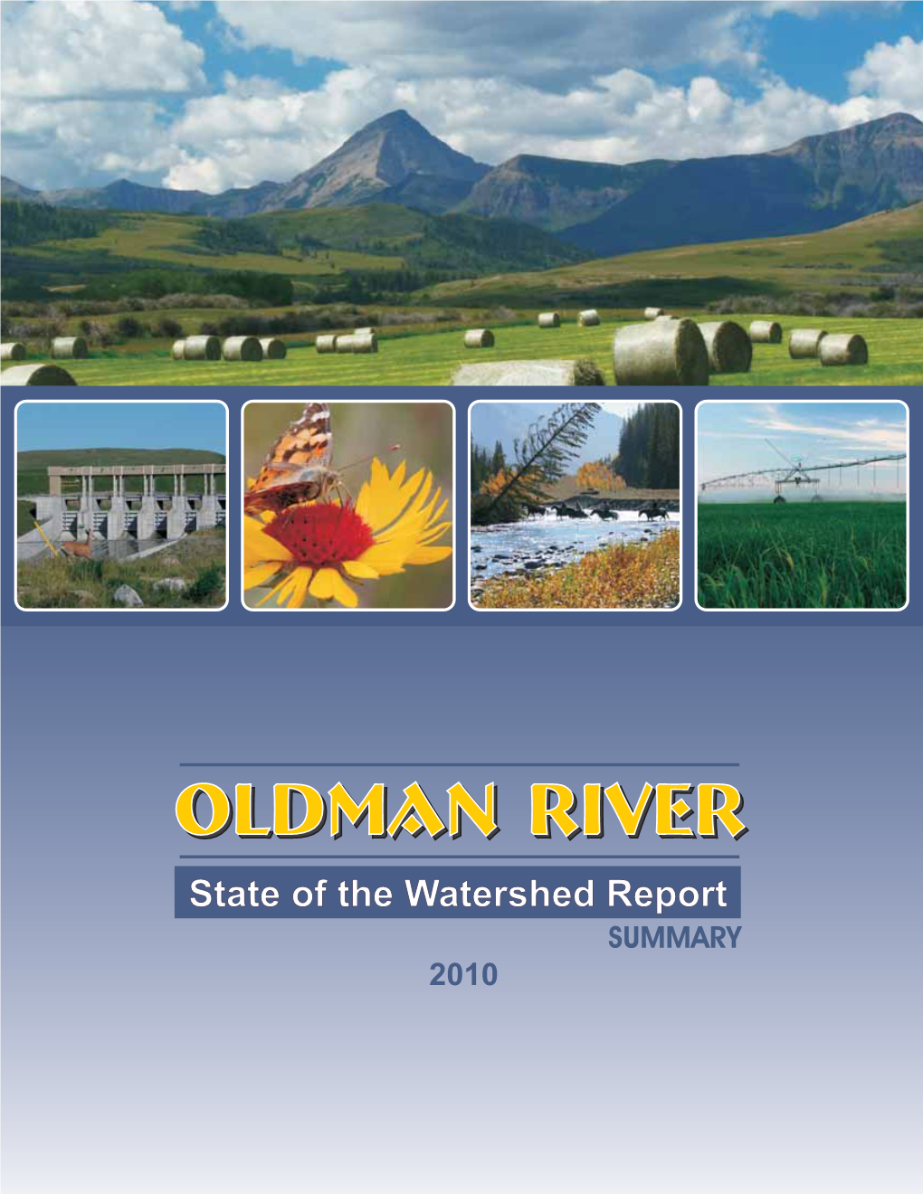 State of the Watershed Report SUMMARY 2010 MESSAGE from the CO-CHAIRS