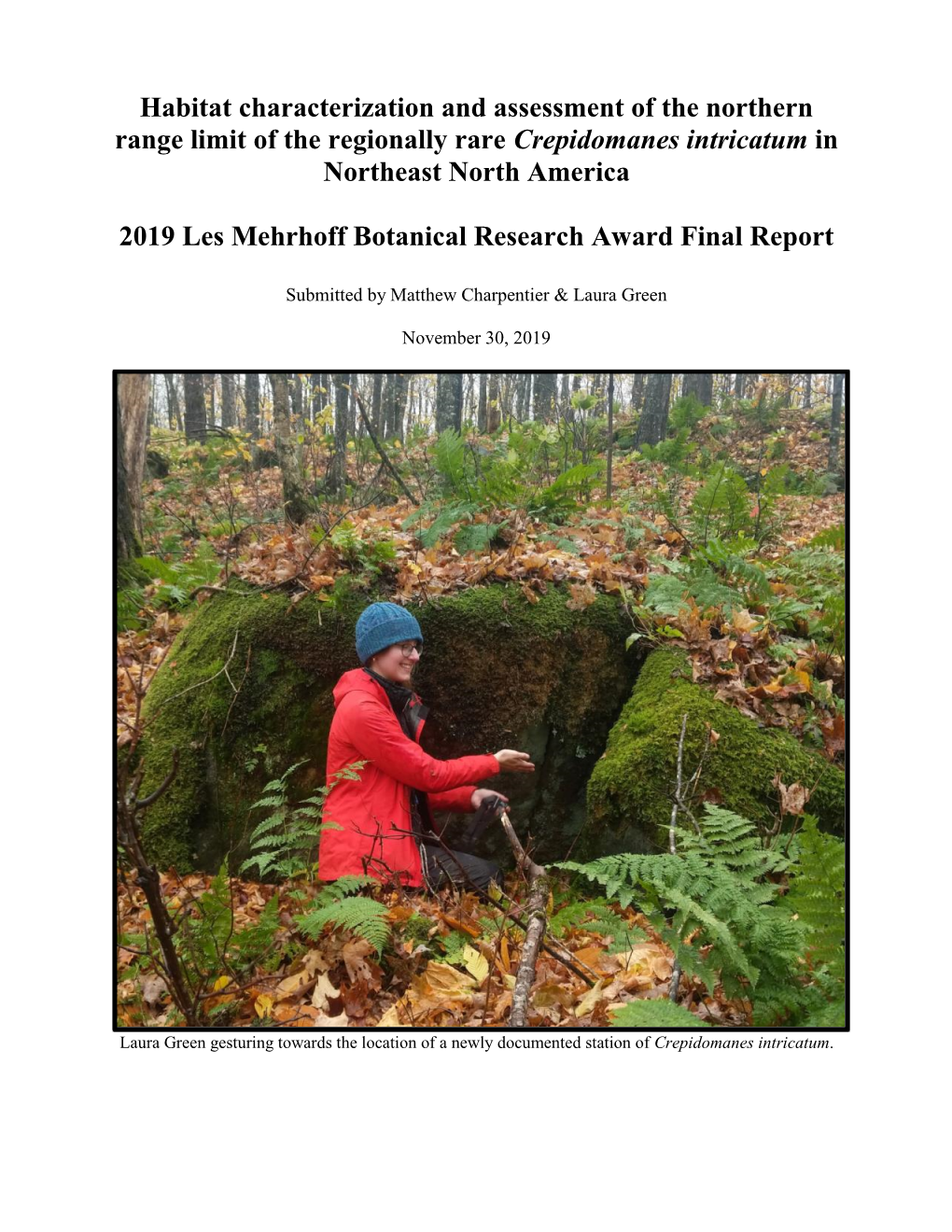 Habitat Characterization and Assessment of the Northern Range Limit of the Regionally Rare Crepidomanes Intricatum in Northeast North America