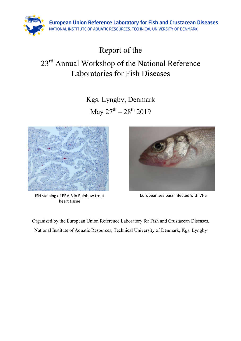 Report of the 23 Annual Workshop of the National Reference