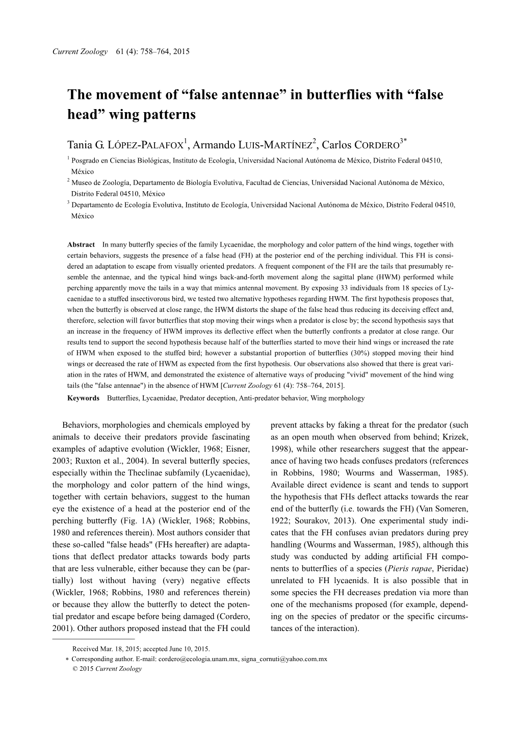 “False Antennae” in Butterflies with “False Head” Wing Patterns