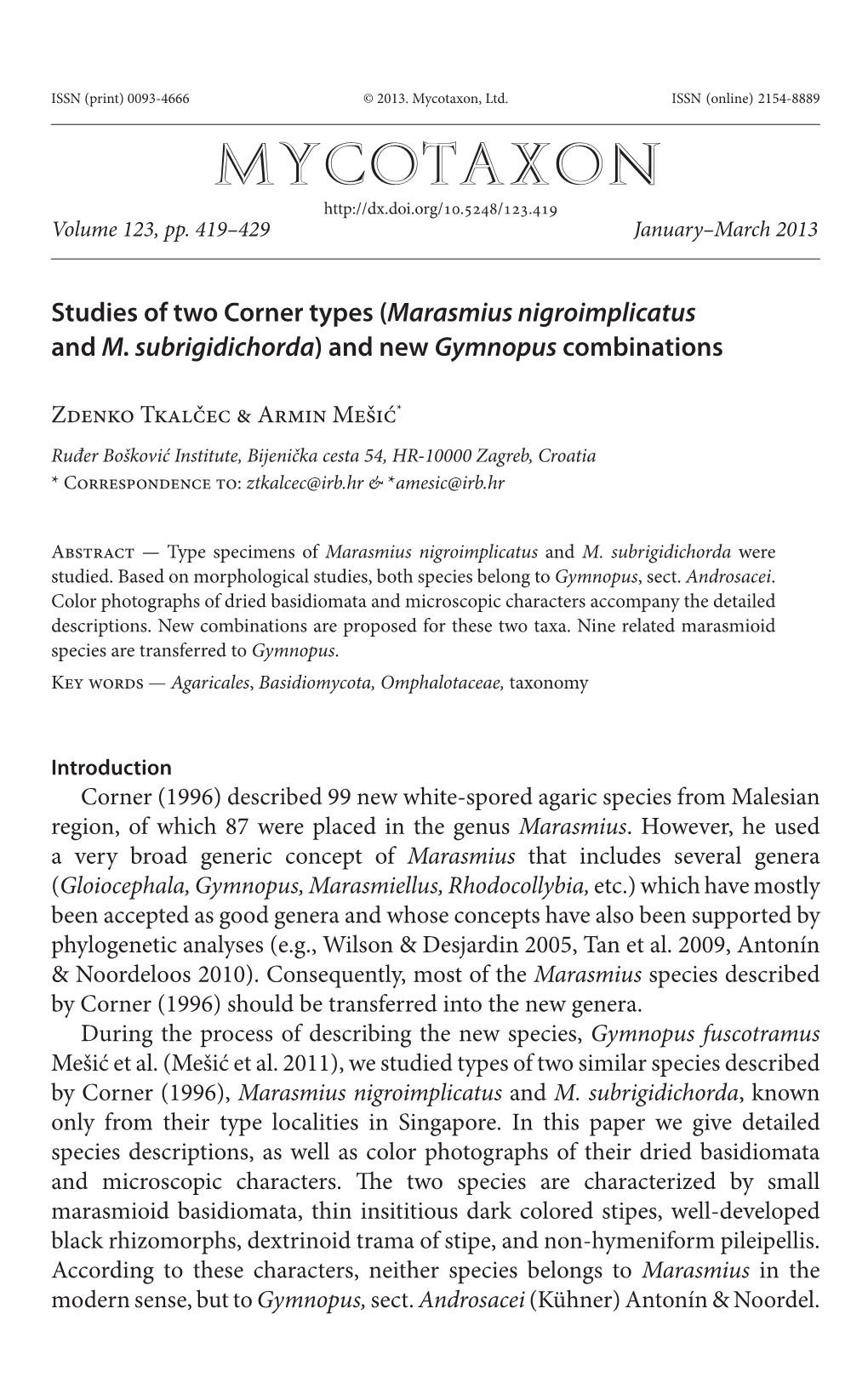 Studies of Two Corner Types (<I>Marasmius