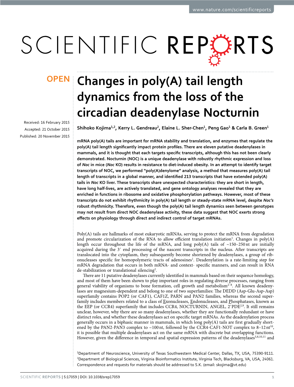 Changes in Poly(A) Tail Length Dynamics from the Loss of the Circadian Deadenylase Nocturnin