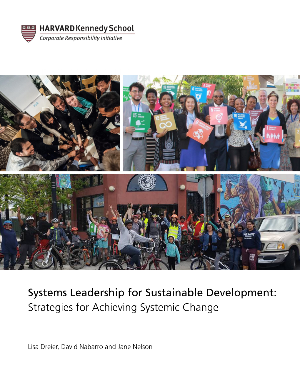Systems Leadership for Sustainable Development: Strategies for Achieving Systemic Change