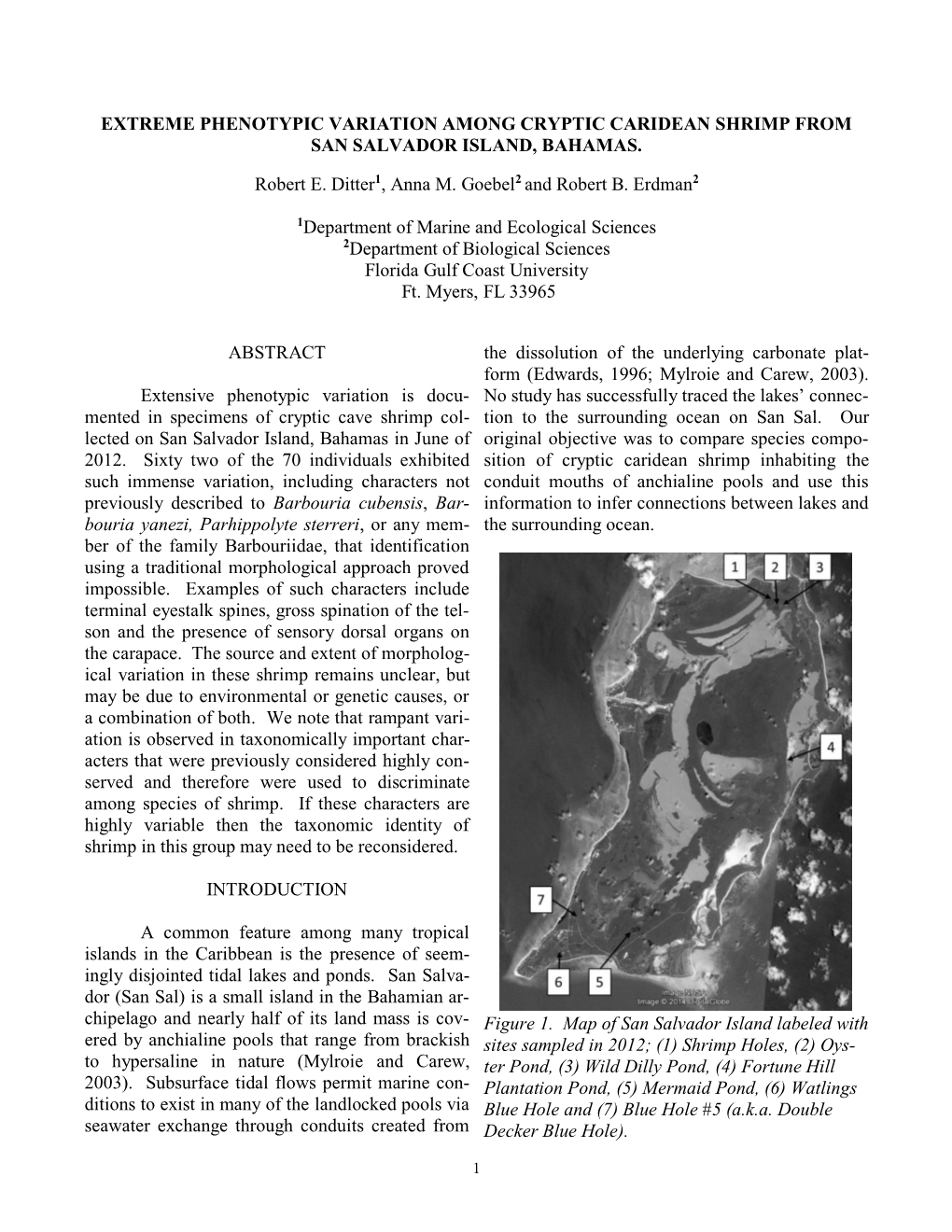 Extreme Phenotypic Variation Among Cryptic Caridean Shrimp from San Salvador Island, Bahamas