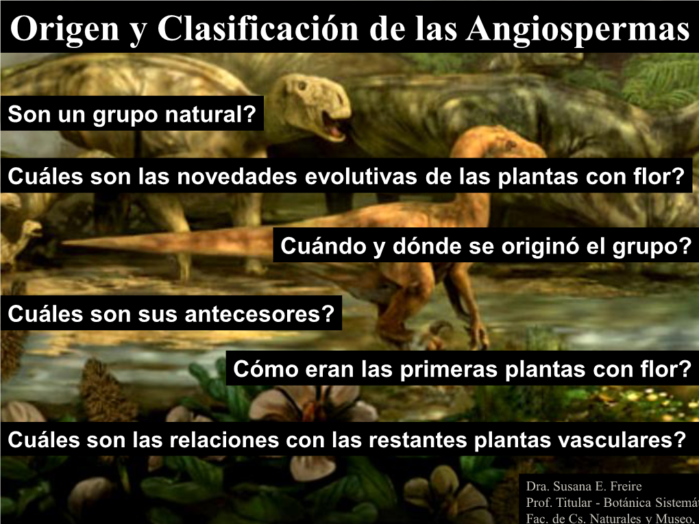 Clase 9 Magnoliidae-2015.Pdf