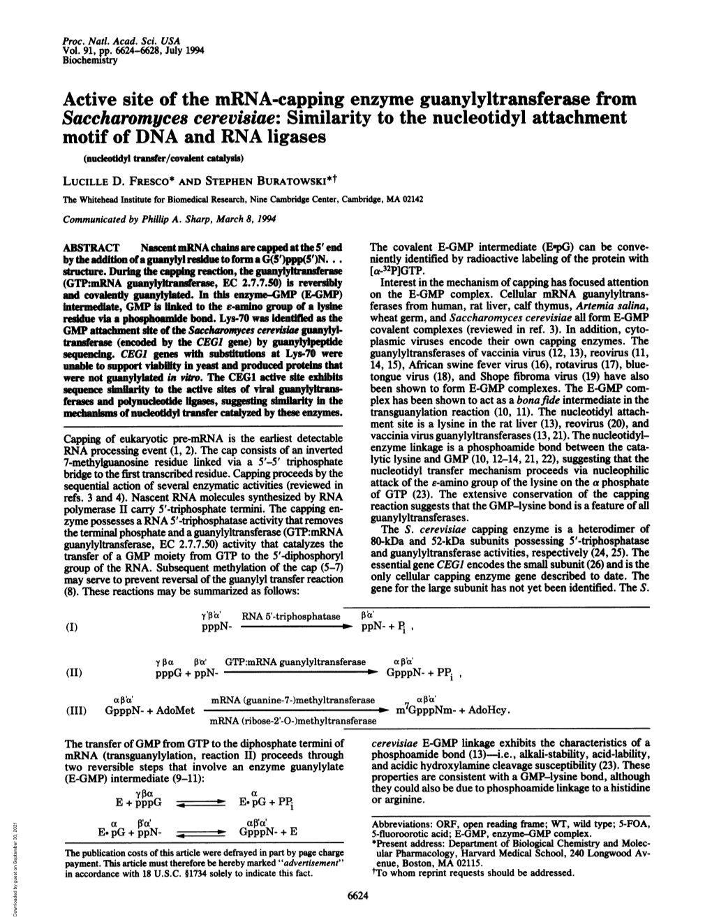 Active Site of the Mrna-Capping Enzyme Guanylyltransferase from Saccharomyces Cerevisiae