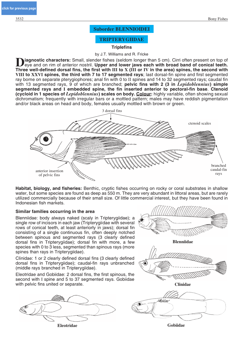 Suborder BLENNIOIDEI TRIPTERYGIIDAE