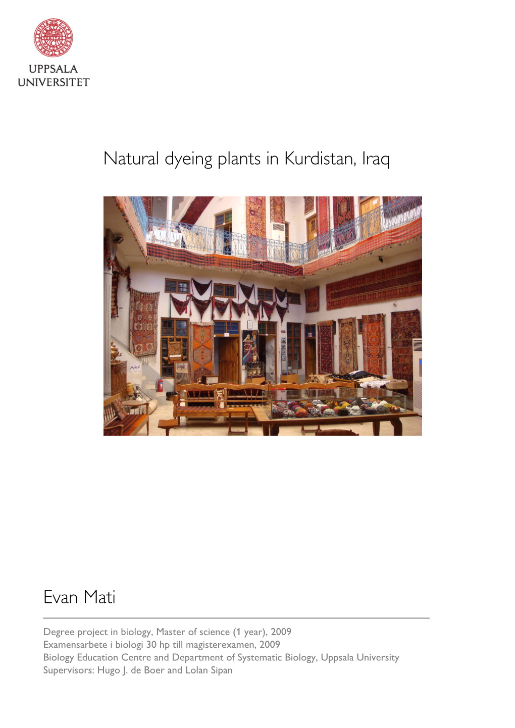 Natural Dyeing Plants in Kurdistan, Iraq Evan Mati
