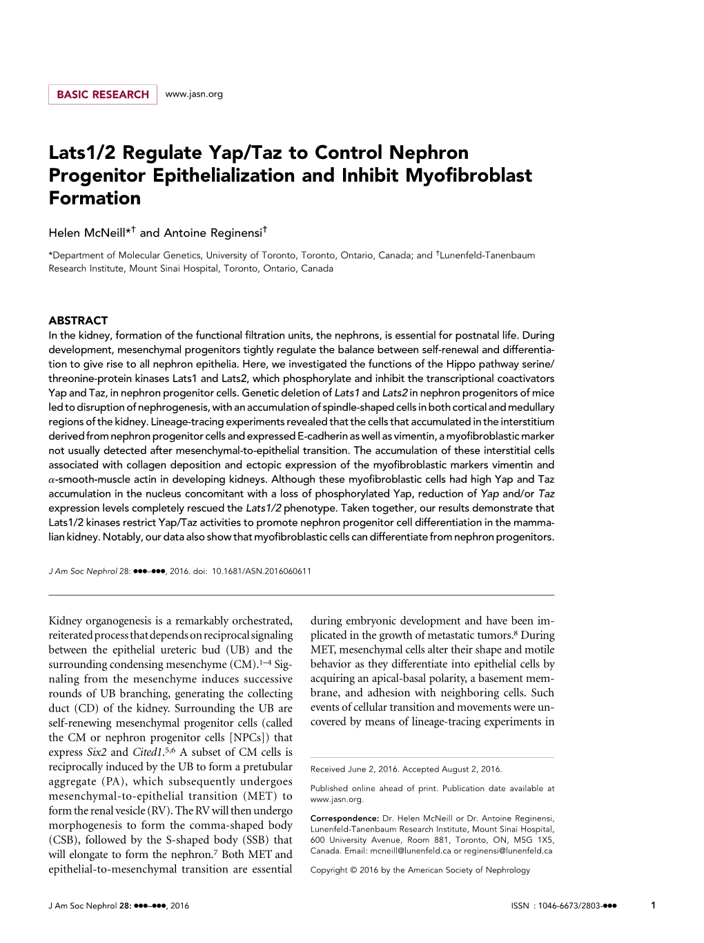 Lats1/2 Regulate Yap/Taz to Control Nephron Progenitor Epithelialization and Inhibit Myoﬁbroblast Formation