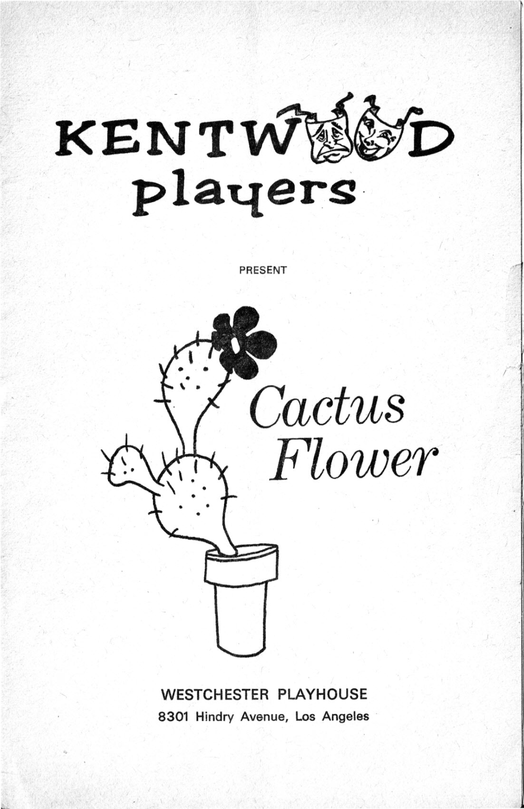 Cactus Flower