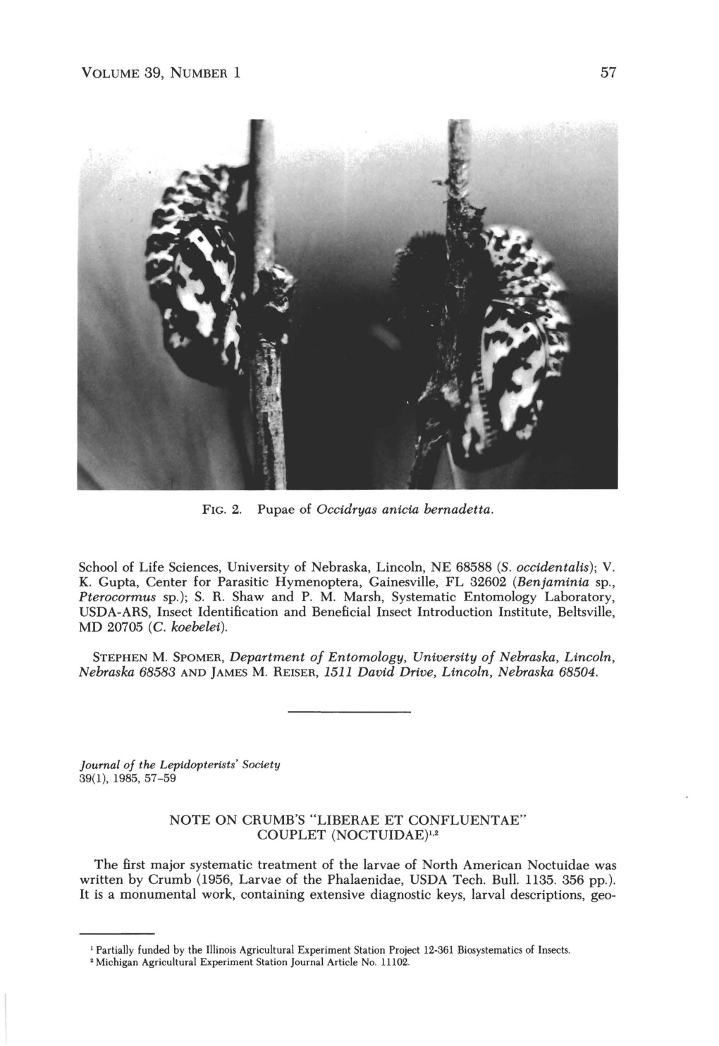 Note on Crumb's "Liberae Et Confluentae" Couplet (Noctuidae)1.2