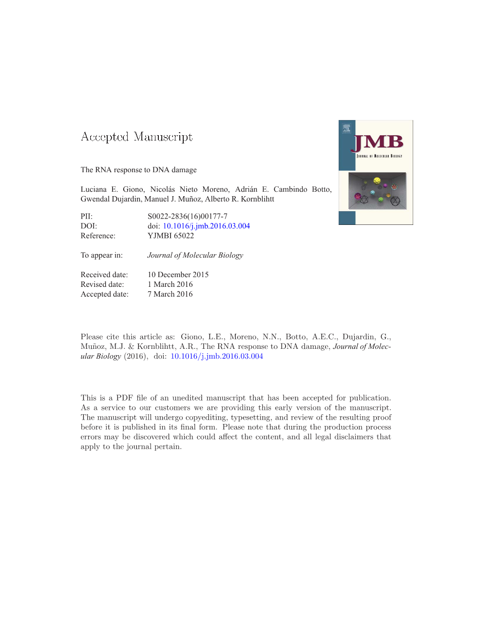 The RNA Response to DNA Damage