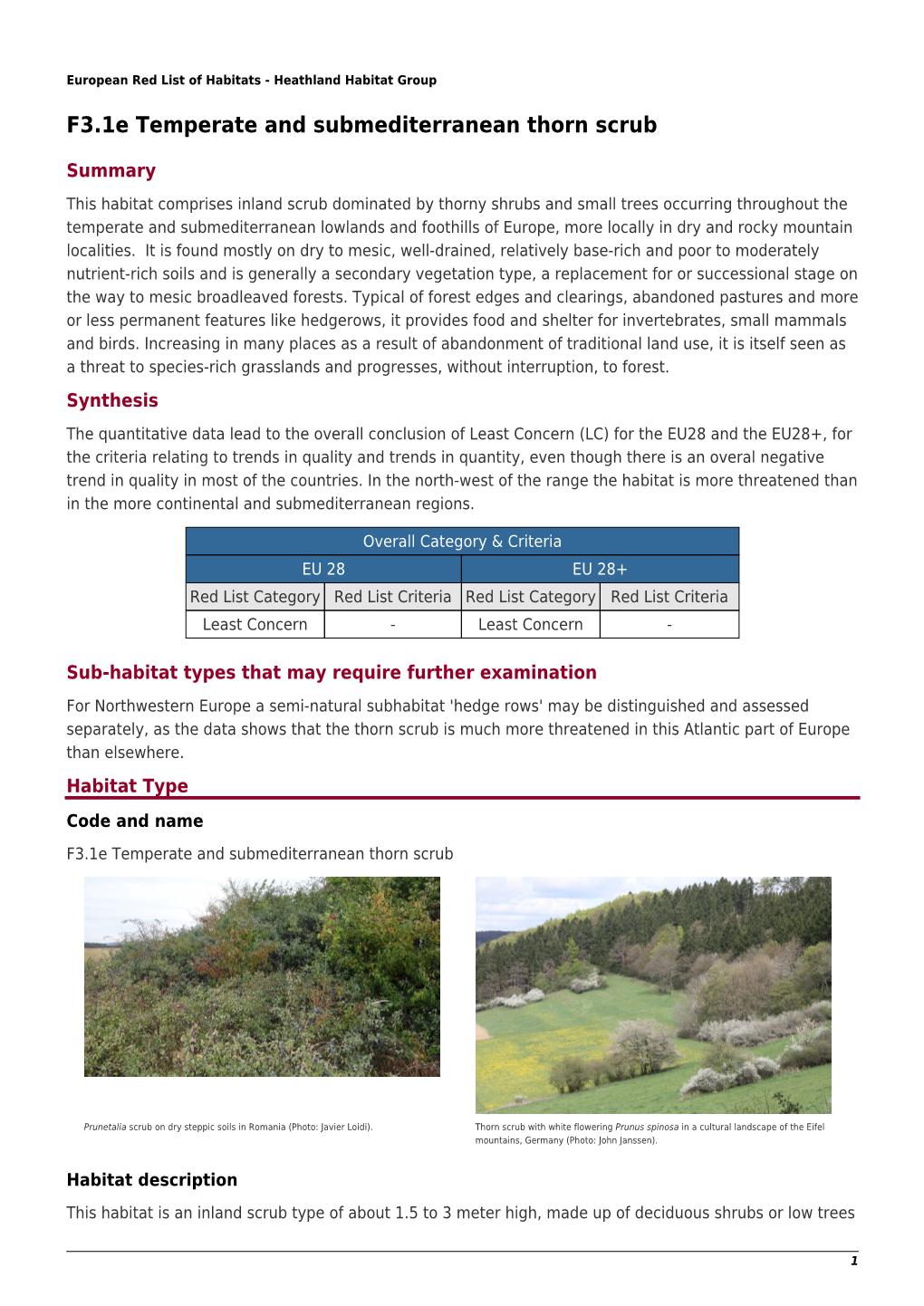 F3.1E Temperate and Submediterranean Thorn Scrub