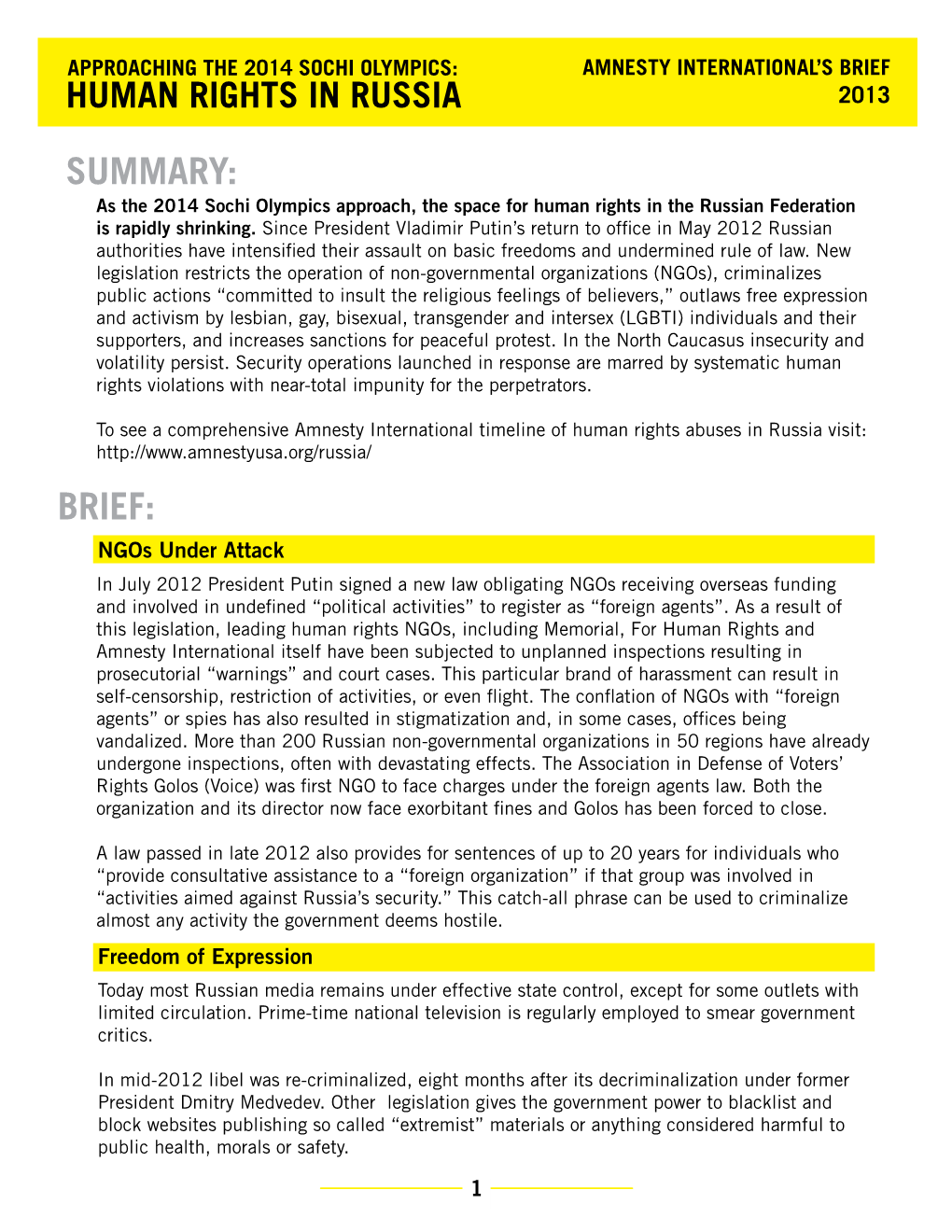 Human Rights in Russia 2013