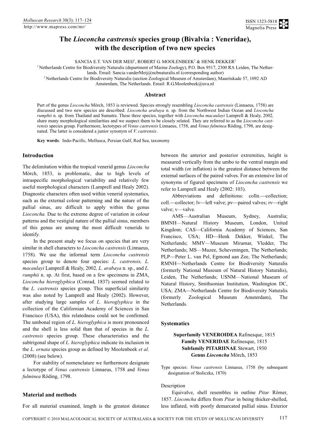 The Lioconcha Castrensis Species Group (Bivalvia : Veneridae), with the Description of Two New Species