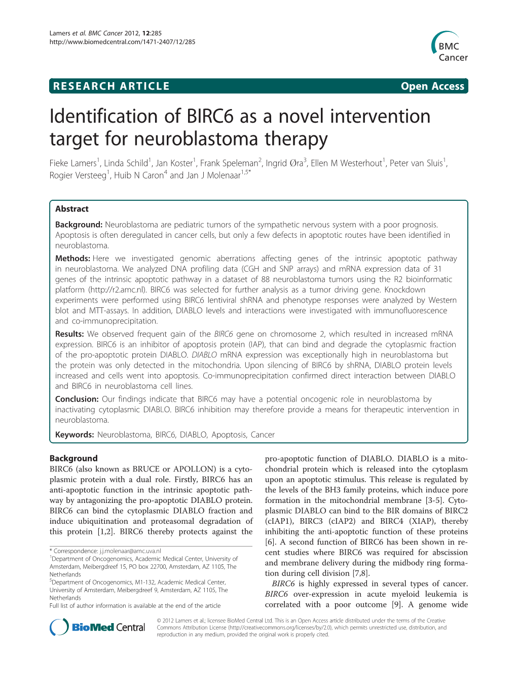 Identification of BIRC6 As a Novel Intervention Target For