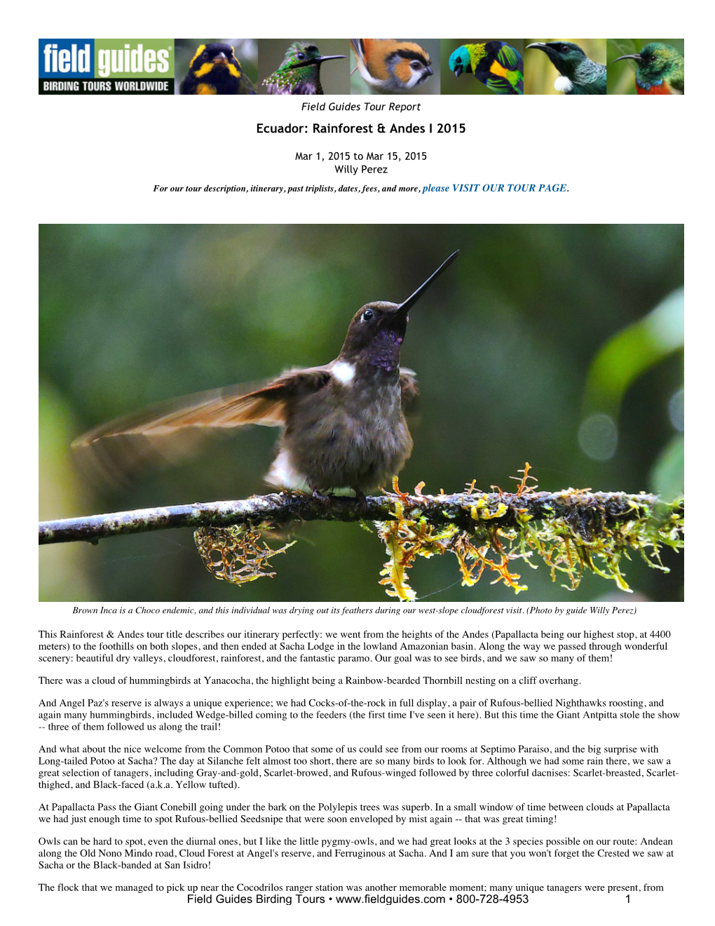 Ecuador: Rainforest & Andes I 2015