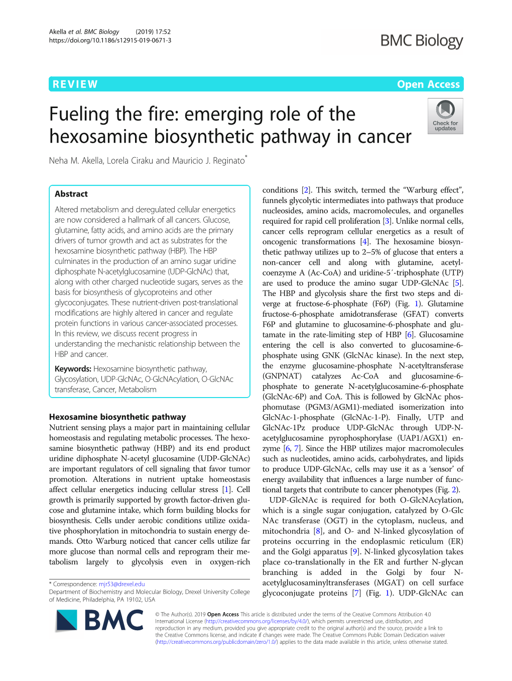 Emerging Role of the Hexosamine Biosynthetic Pathway in Cancer Neha M