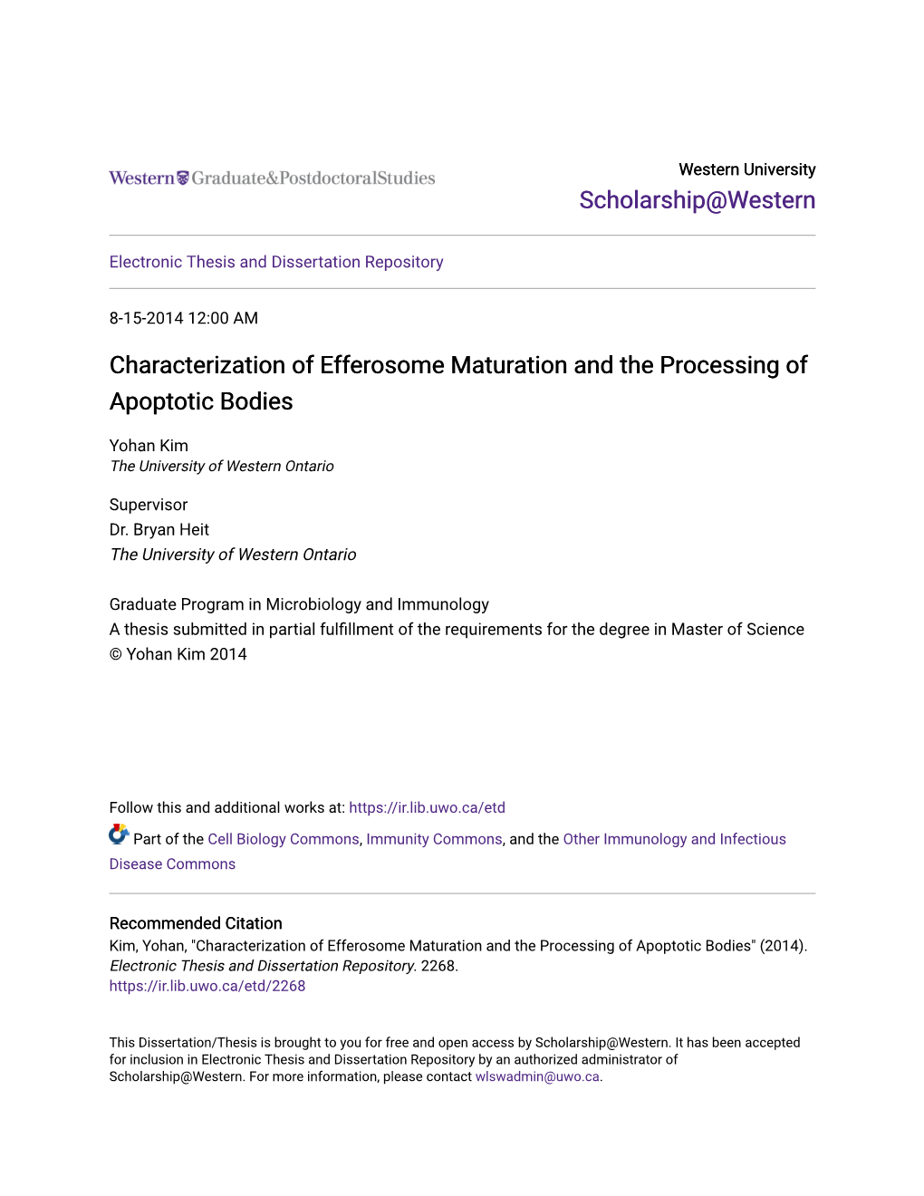 Characterization of Efferosome Maturation and the Processing of Apoptotic Bodies
