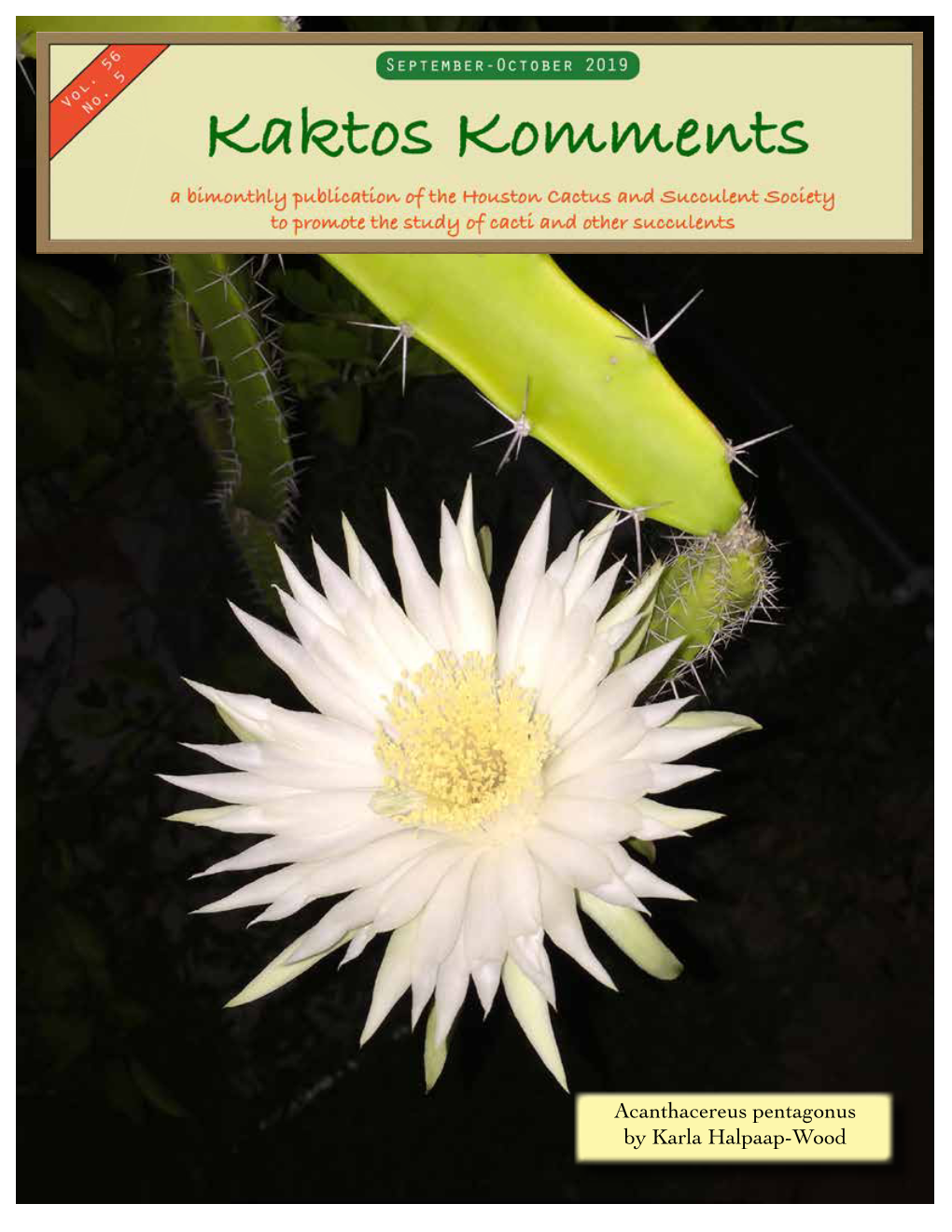 Acanthacereus Pentagonus by Karla Halpaap-Wood 1 Vol