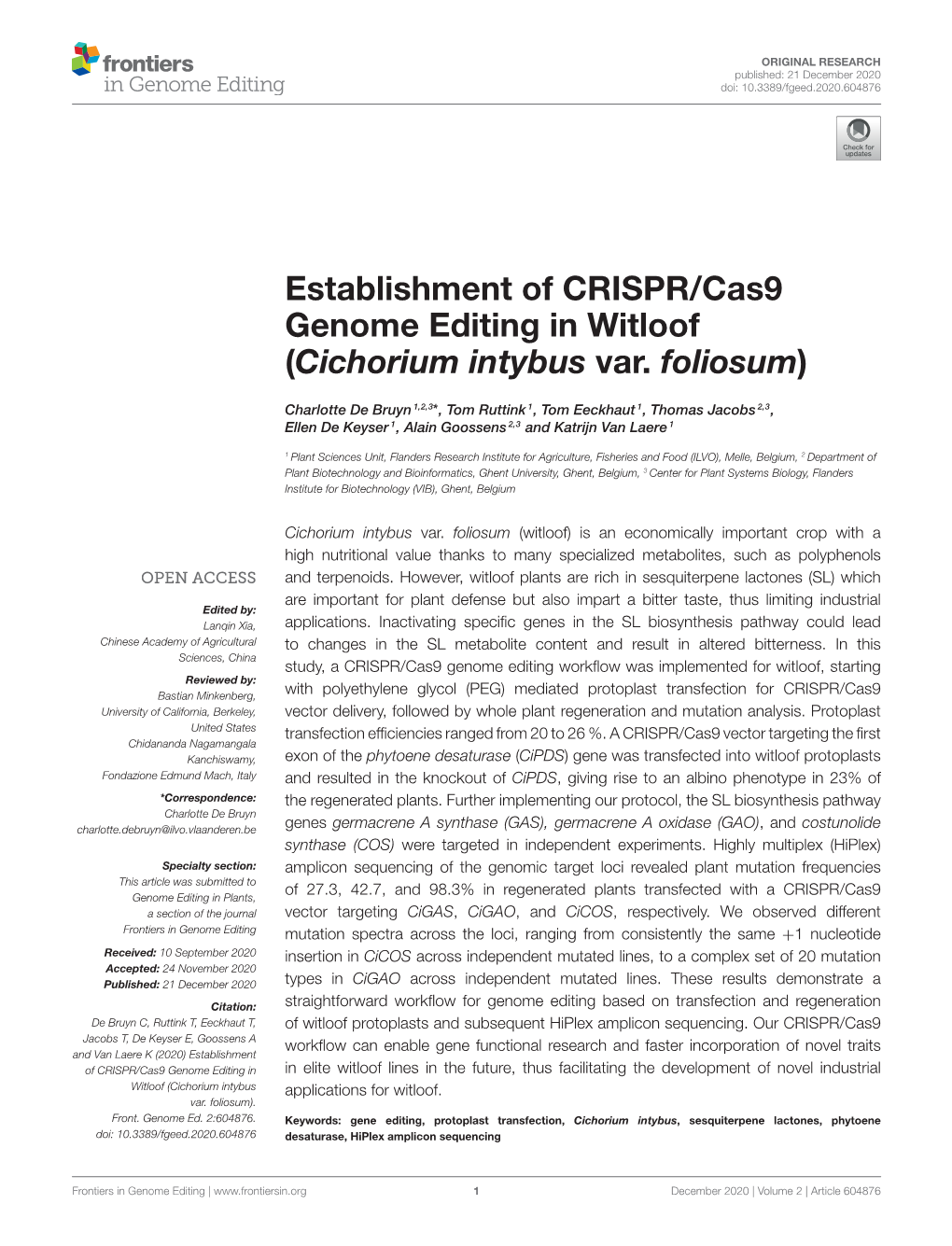 Establishment of CRISPR/Cas9 Genome Editing in Witloof (Cichorium Intybus Var