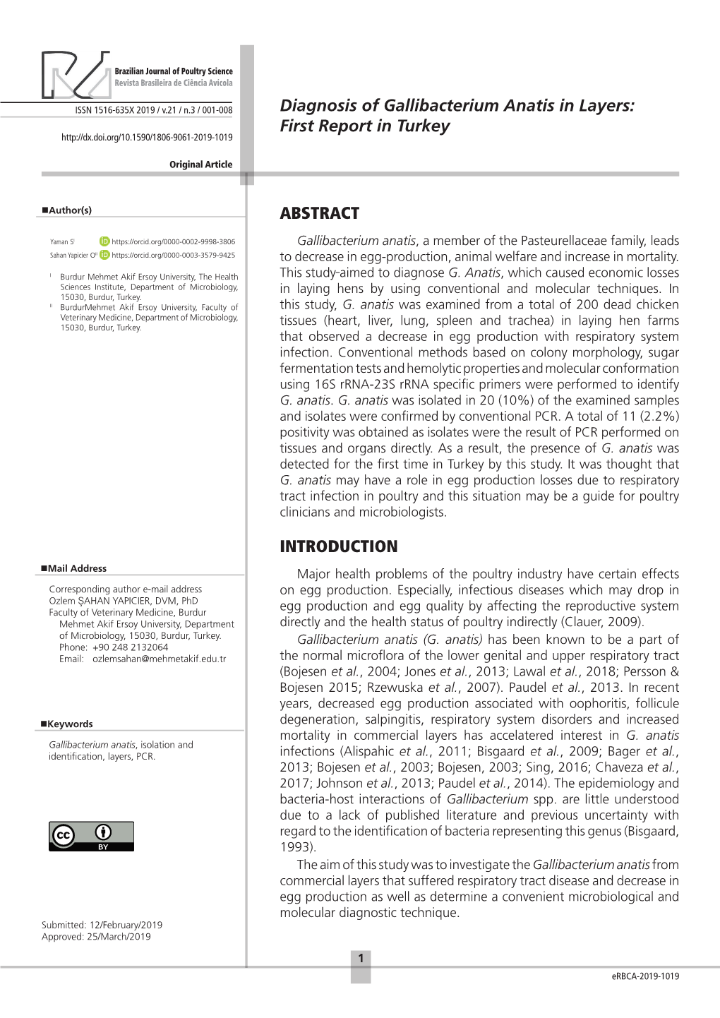 Diagnosis of Gallibacterium Anatis in Layers: First Report in Turkey