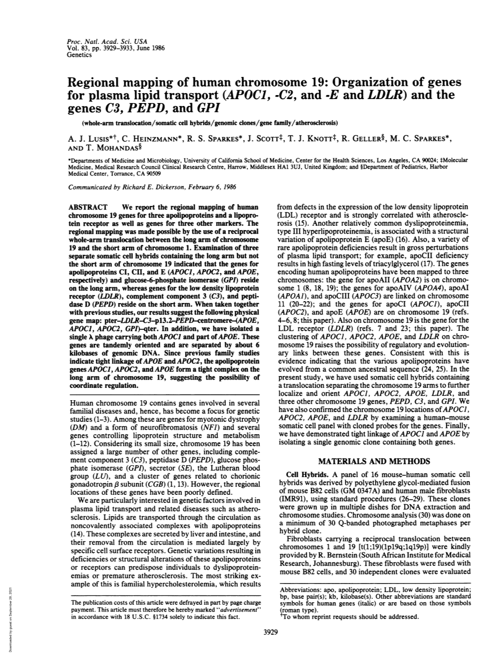 (APOCI, -C2, and -E and LDLR) and the Genes C3, PEPD, and GPI (Whole-Arm Translocation/Somatic Cell Hybrids/Genomic Clones/Gene Family/Atherosclerosis) A