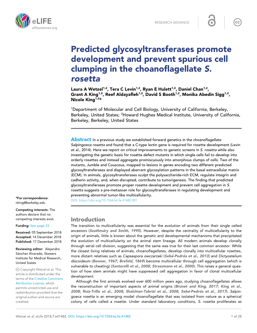 Predicted Glycosyltransferases Promote Development and Prevent Spurious Cell Clumping in the Choanoflagellate S