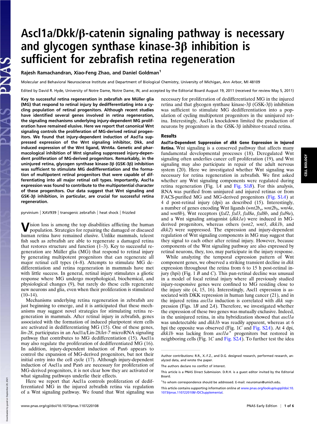 Ascl1a/Dkk/Β-Catenin Signaling Pathway Is Necessary and Glycogen Synthase Kinase-3Β Inhibition Is Sufﬁcient for Zebraﬁsh Retina Regeneration