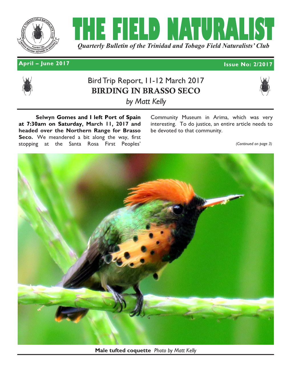 Bird Trip Report, 11-12 March 2017 BIRDING in BRASSO SECO by Matt Kelly