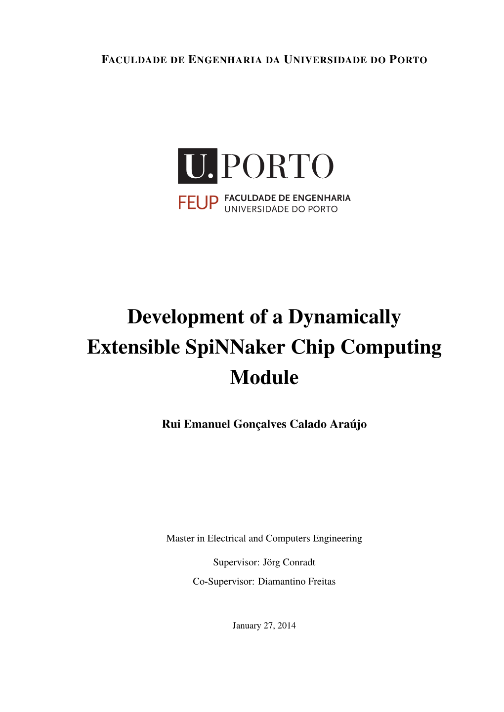 Development of a Dynamically Extensible Spinnaker Chip Computing Module