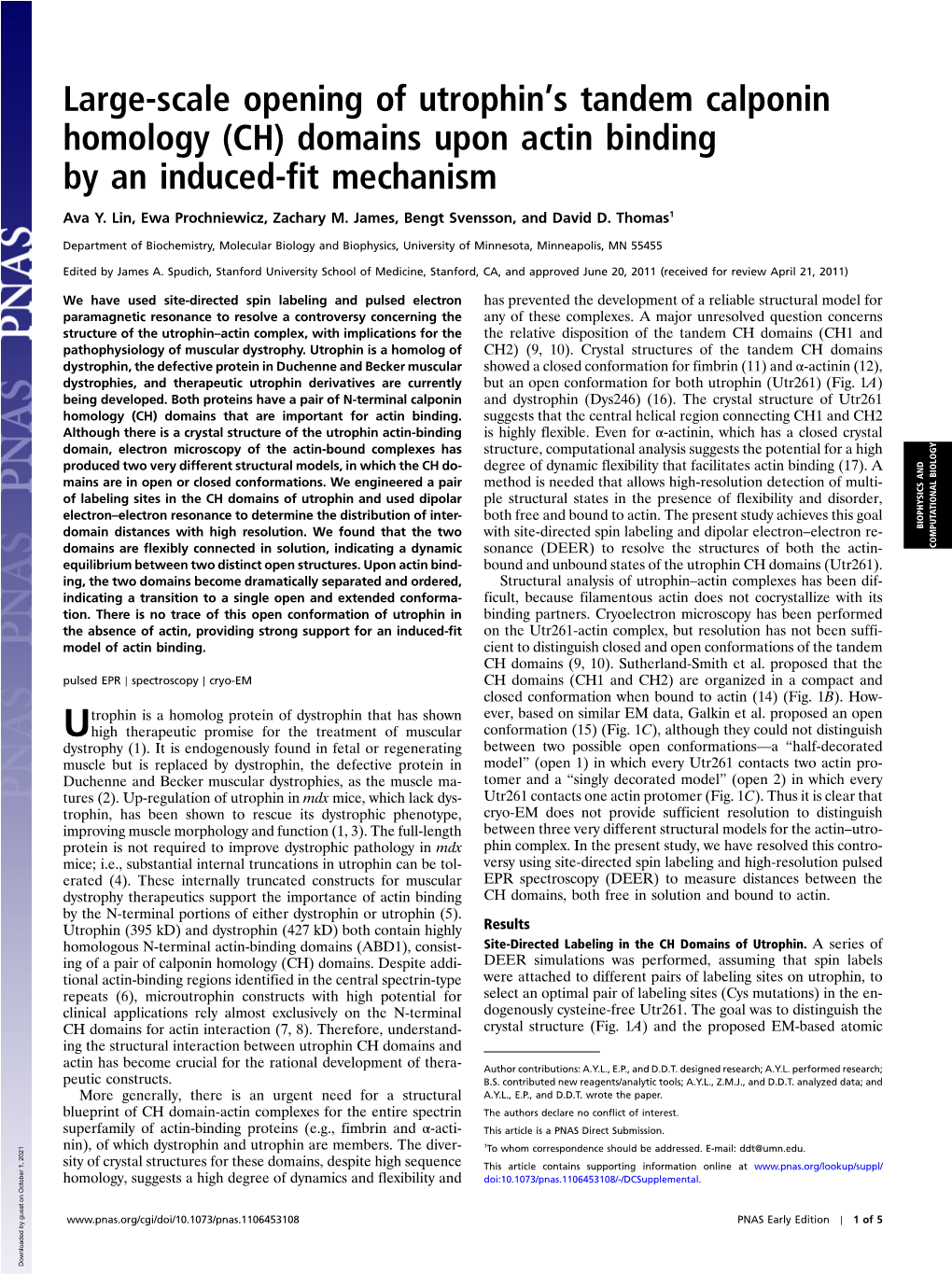 Large-Scale Opening of Utrophints Tandem Calponin Homology (CH