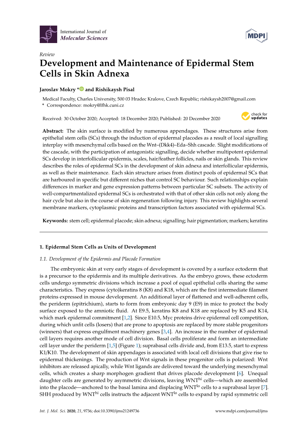 Development and Maintenance of Epidermal Stem Cells in Skin Adnexa