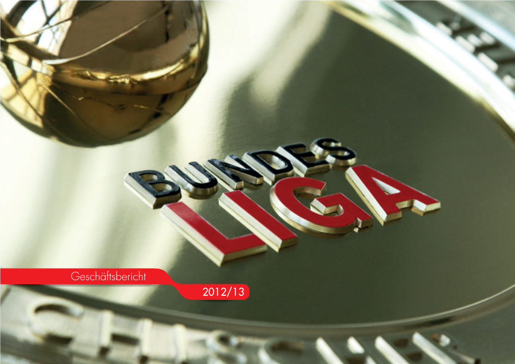 Geschäftsbericht Saison 2012/2013