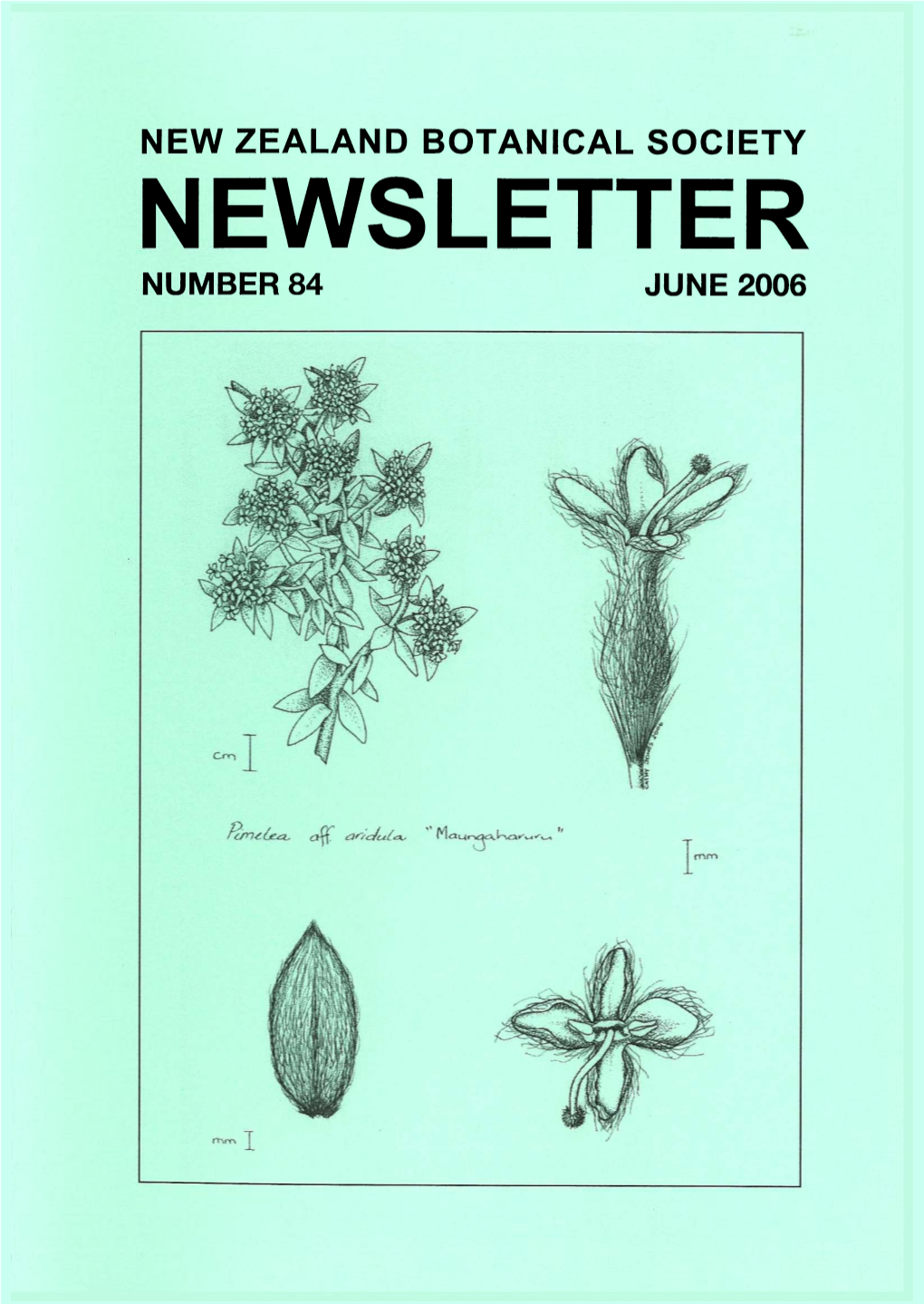 NEWSLETTER NUMBER 84 JUNE 2006 New Zealand Botanical Society