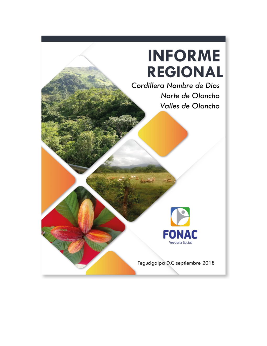 Informe Final Regiones 6, 7 Y 8 2018