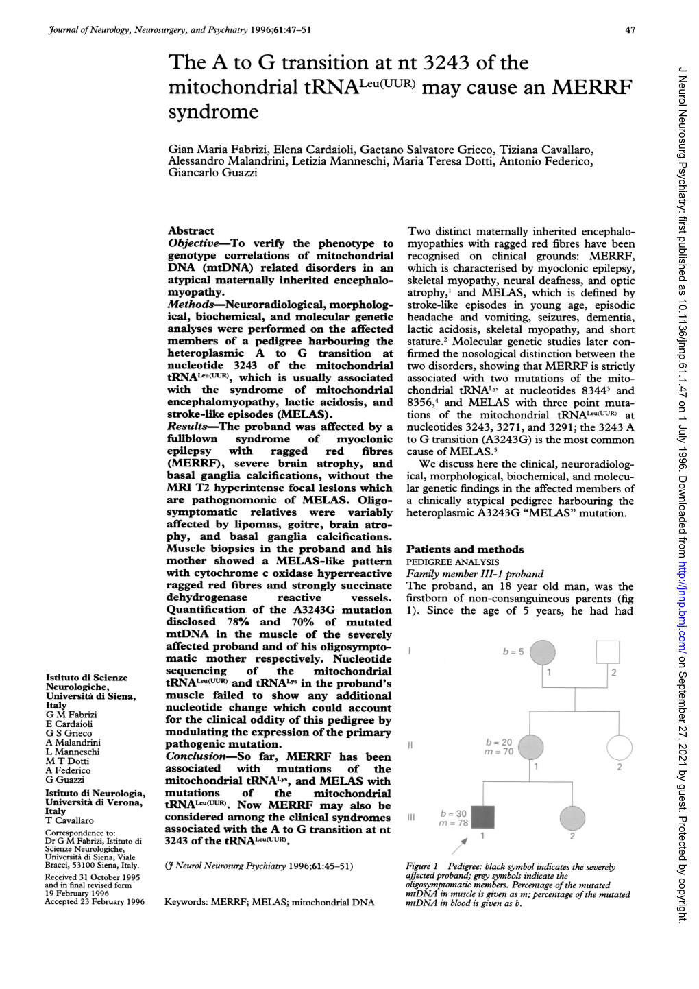 Mitochondrial Trnaleu(Uur) May Cause an MERRF Syndrome