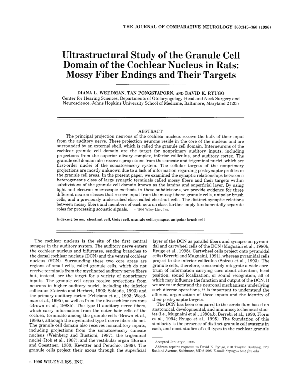 Ultrastructural Study of the Granule Cell Domain of the Cochlear Nucleus in Rats: Mossy Fiber Endings and Their Targets