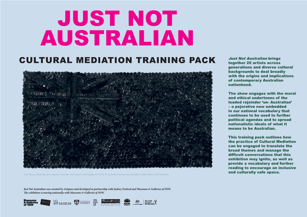 Just Not Australian Cultural Mediation Training Pack