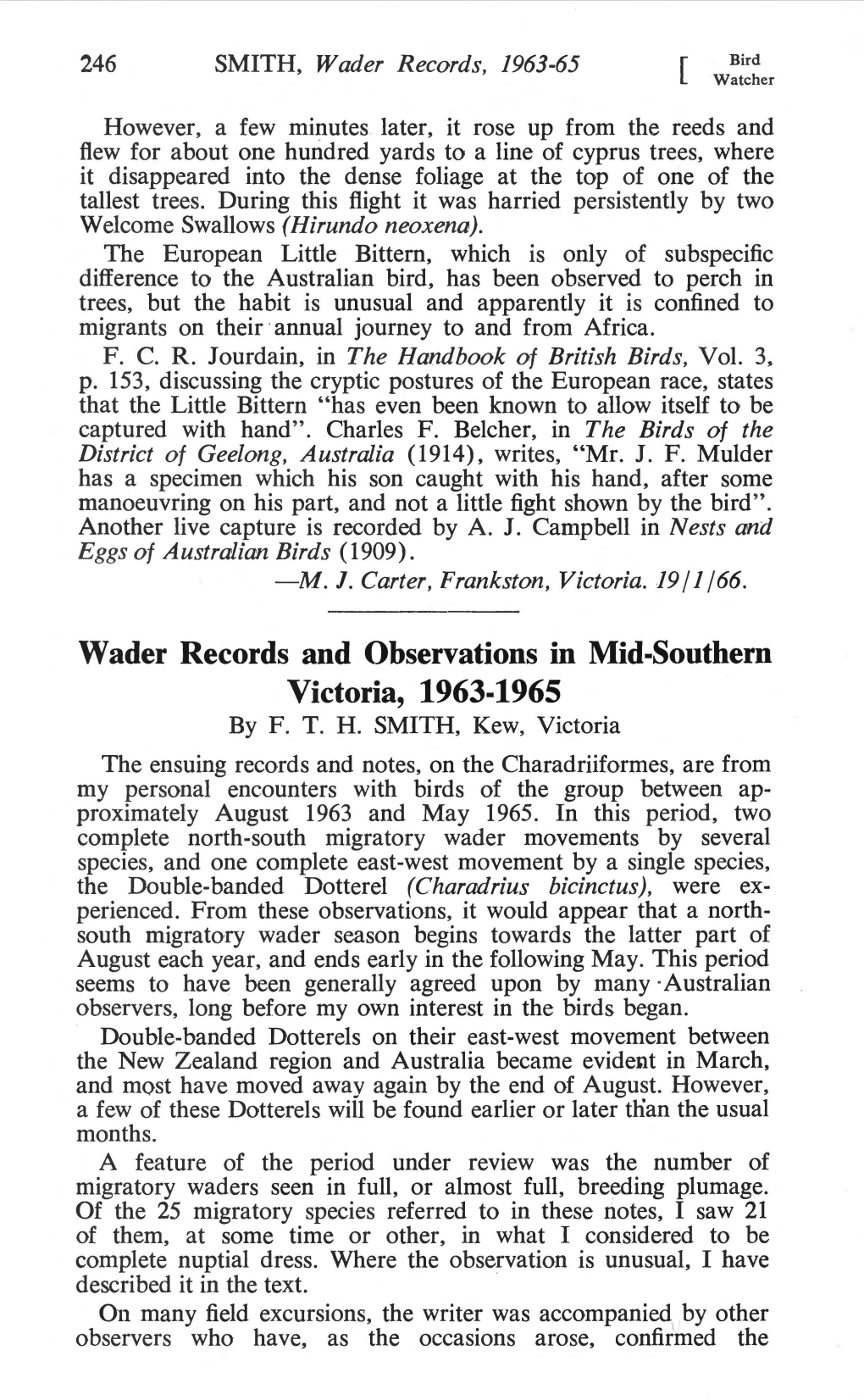 Wader Records and Observations in Mid-Southern Victoria, 1963-1965 by F