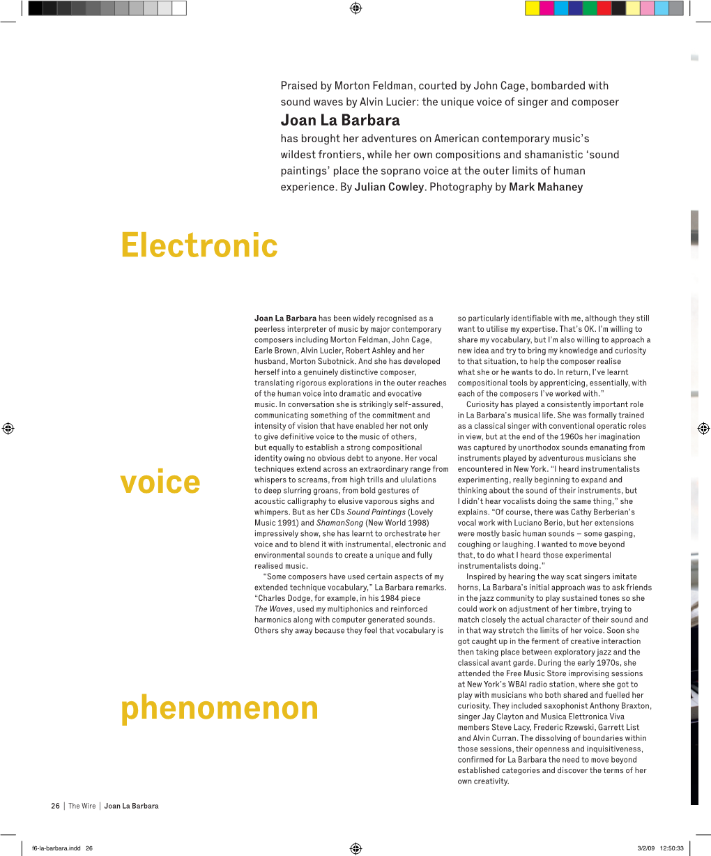 Voice Phenomenon Electronic