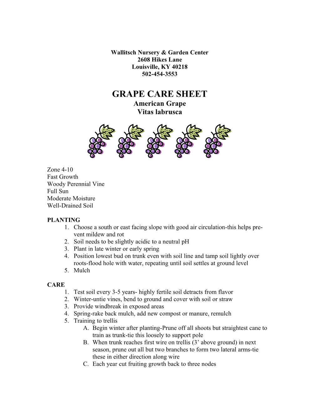 Grape Care Sheet