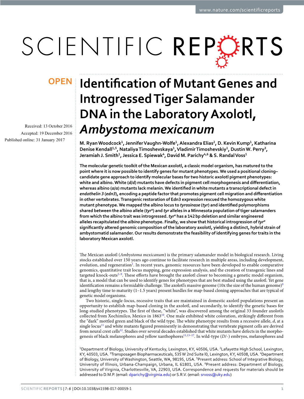 Identification of Mutant Genes and Introgressed Tiger Salamander