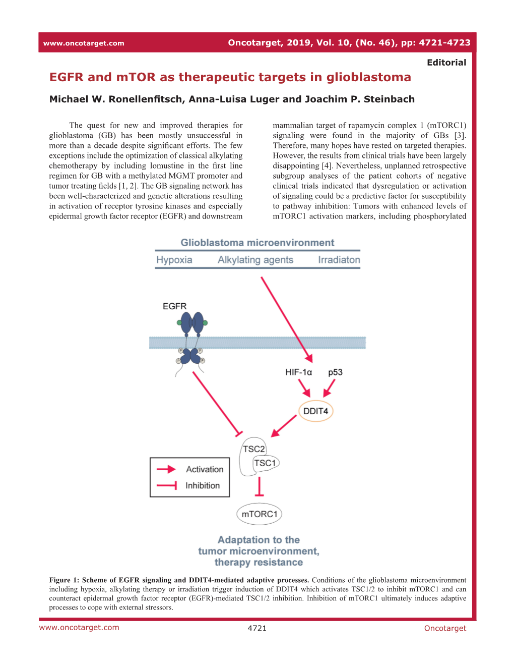 EGFR and Mtor As Therapeutic Targets in Glioblastoma